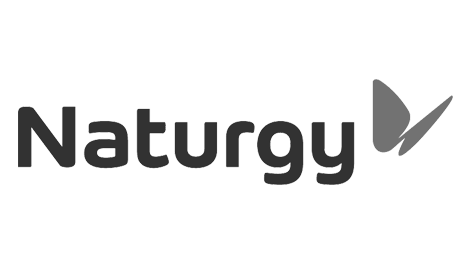 Naturgy